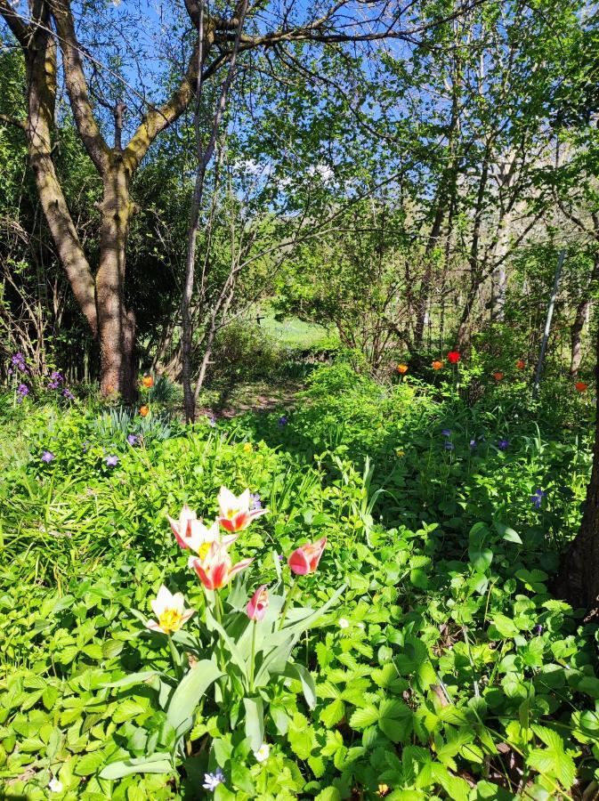 Il Giardino Del Gallo เกราสโก ภายนอก รูปภาพ