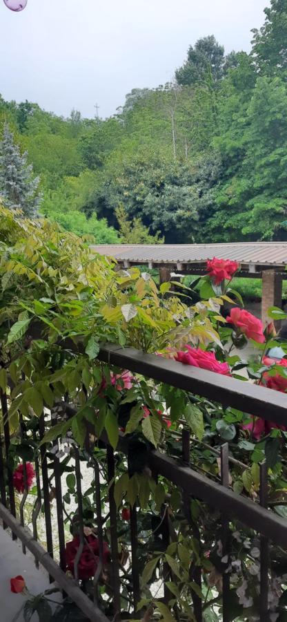 Il Giardino Del Gallo เกราสโก ภายนอก รูปภาพ
