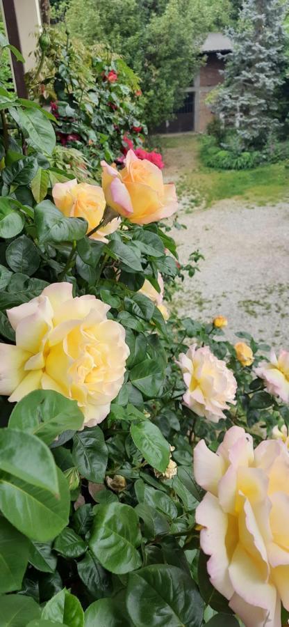 Il Giardino Del Gallo เกราสโก ภายนอก รูปภาพ