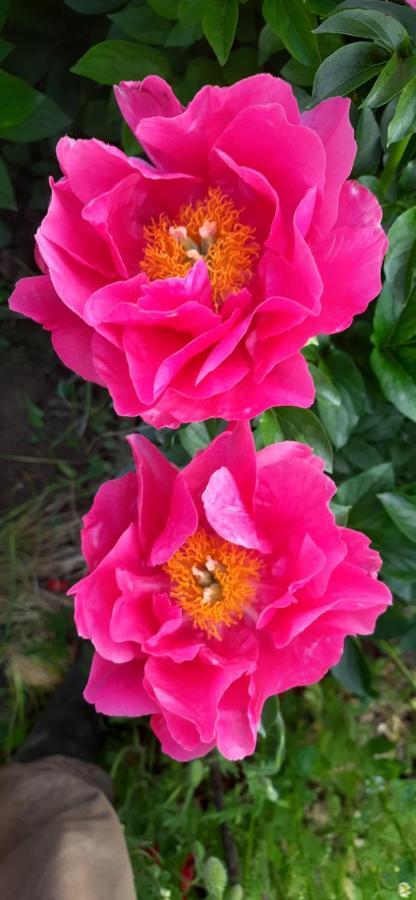 Il Giardino Del Gallo เกราสโก ภายนอก รูปภาพ