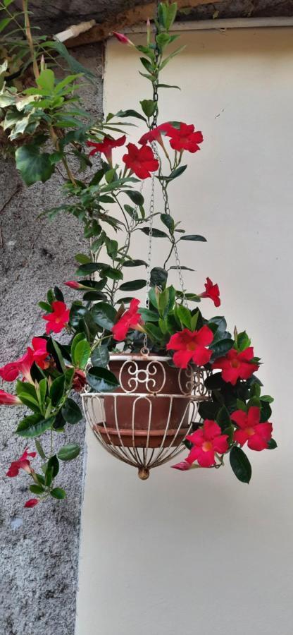 Il Giardino Del Gallo เกราสโก ภายนอก รูปภาพ