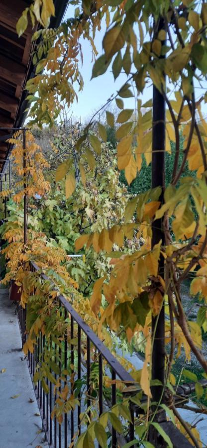 Il Giardino Del Gallo เกราสโก ภายนอก รูปภาพ