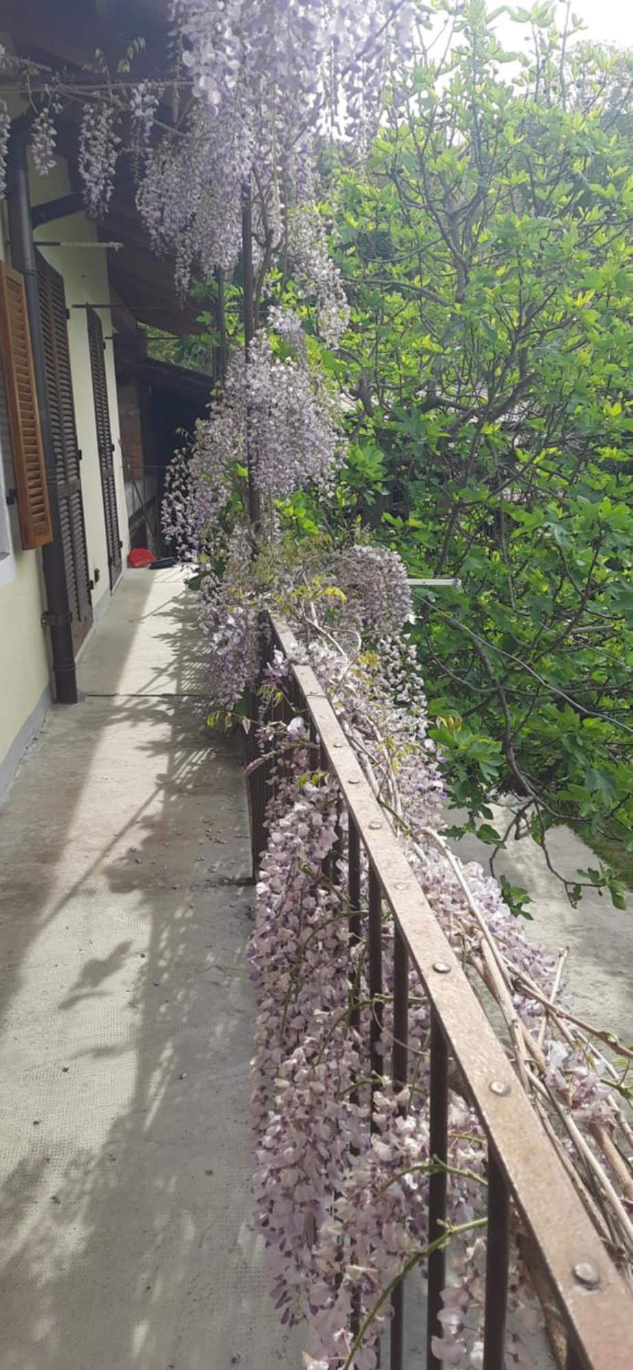 Il Giardino Del Gallo เกราสโก ภายนอก รูปภาพ