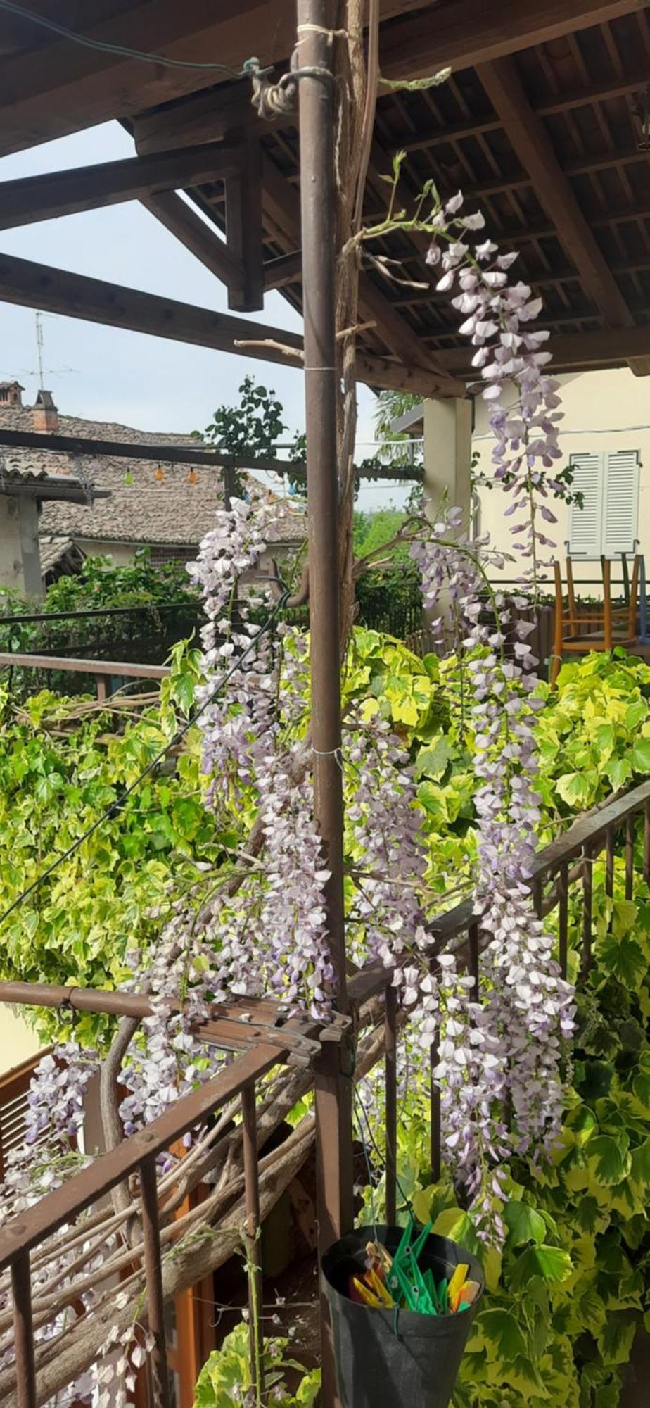Il Giardino Del Gallo เกราสโก ภายนอก รูปภาพ