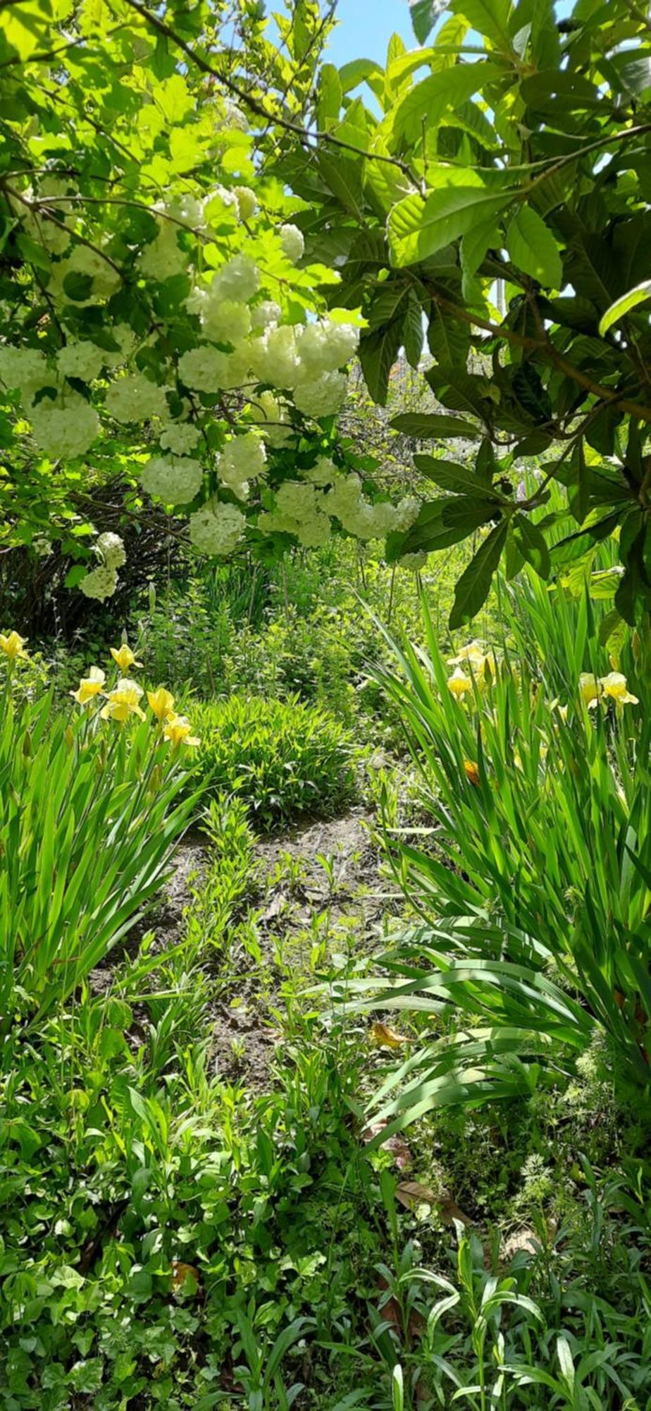 Il Giardino Del Gallo เกราสโก ภายนอก รูปภาพ