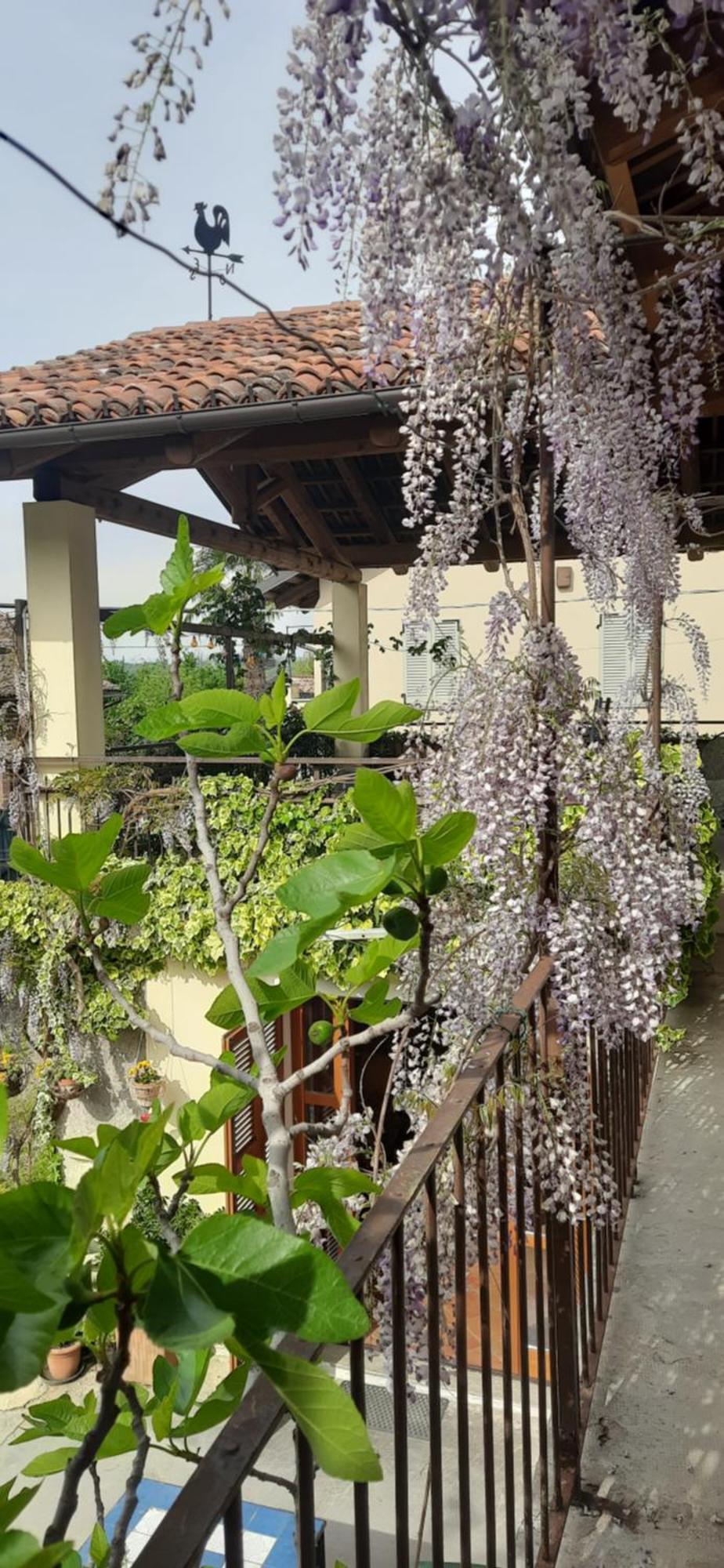 Il Giardino Del Gallo เกราสโก ภายนอก รูปภาพ