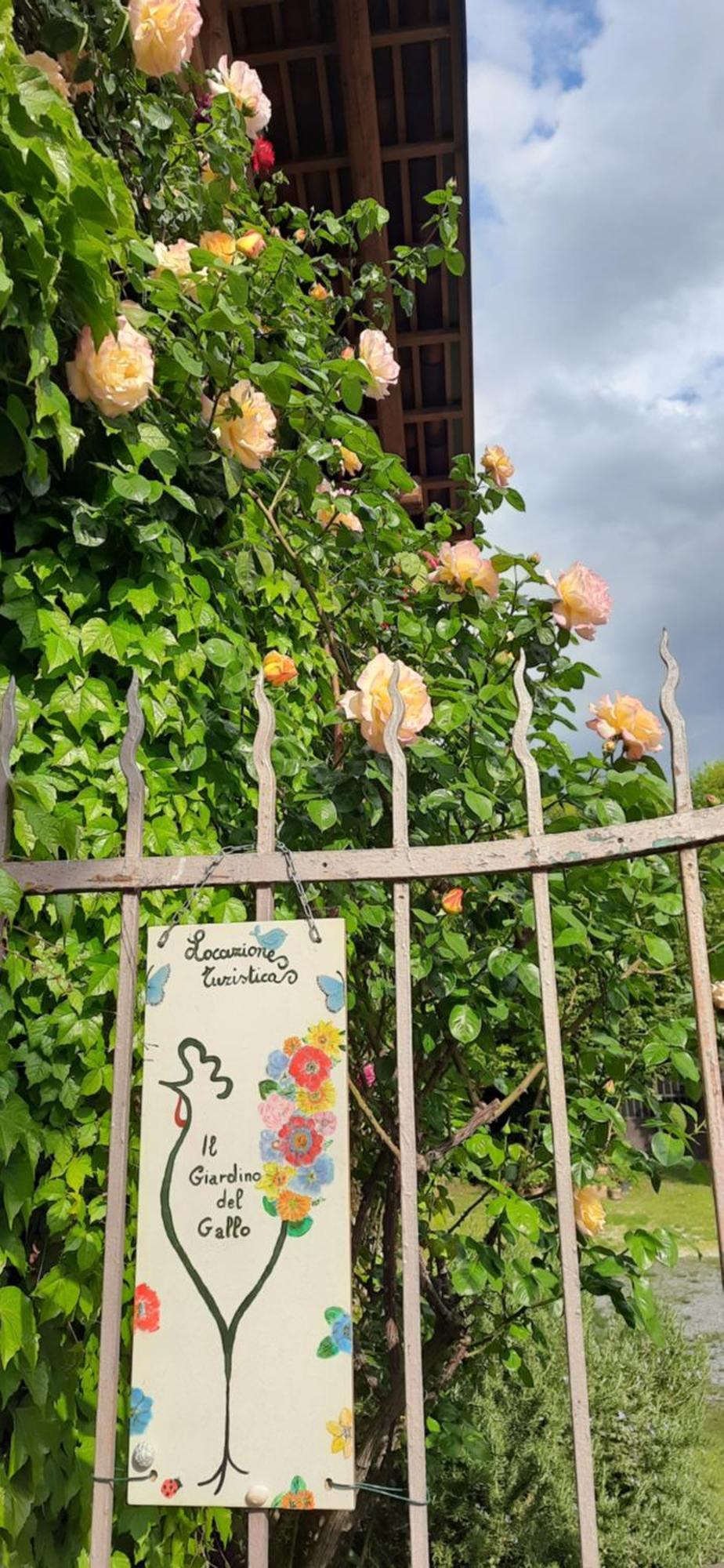 Il Giardino Del Gallo เกราสโก ภายนอก รูปภาพ